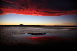Priroda/National Geographic Photo Contest