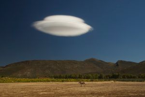 Priroda/National Geographic Photo Contest